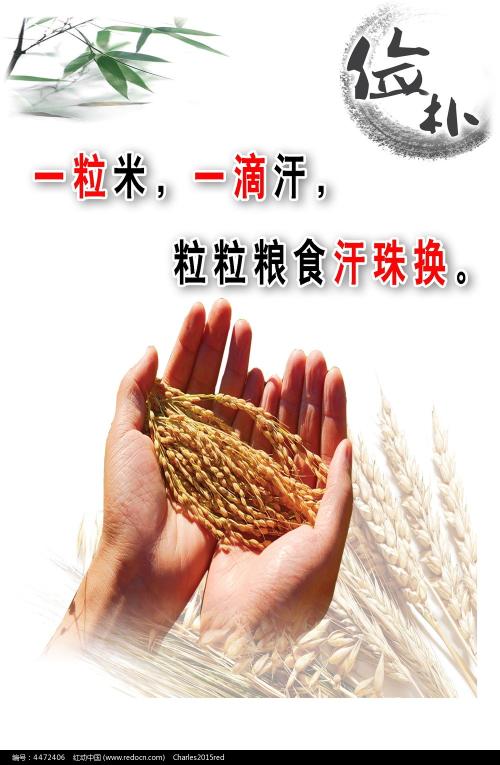 上海欧华职业技术学院毕业证样本